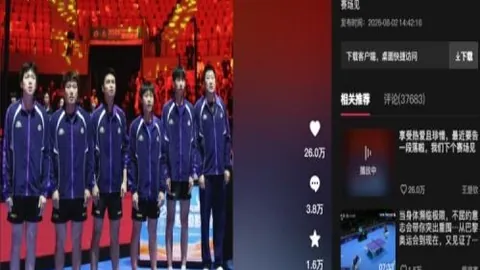 301117财务丑闻，警报24日紧急停牌全解析